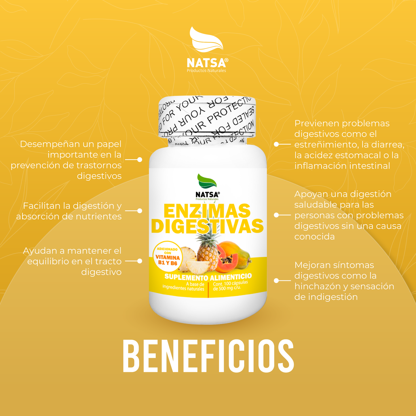 Enzimas Digestivas 100 cápsulas