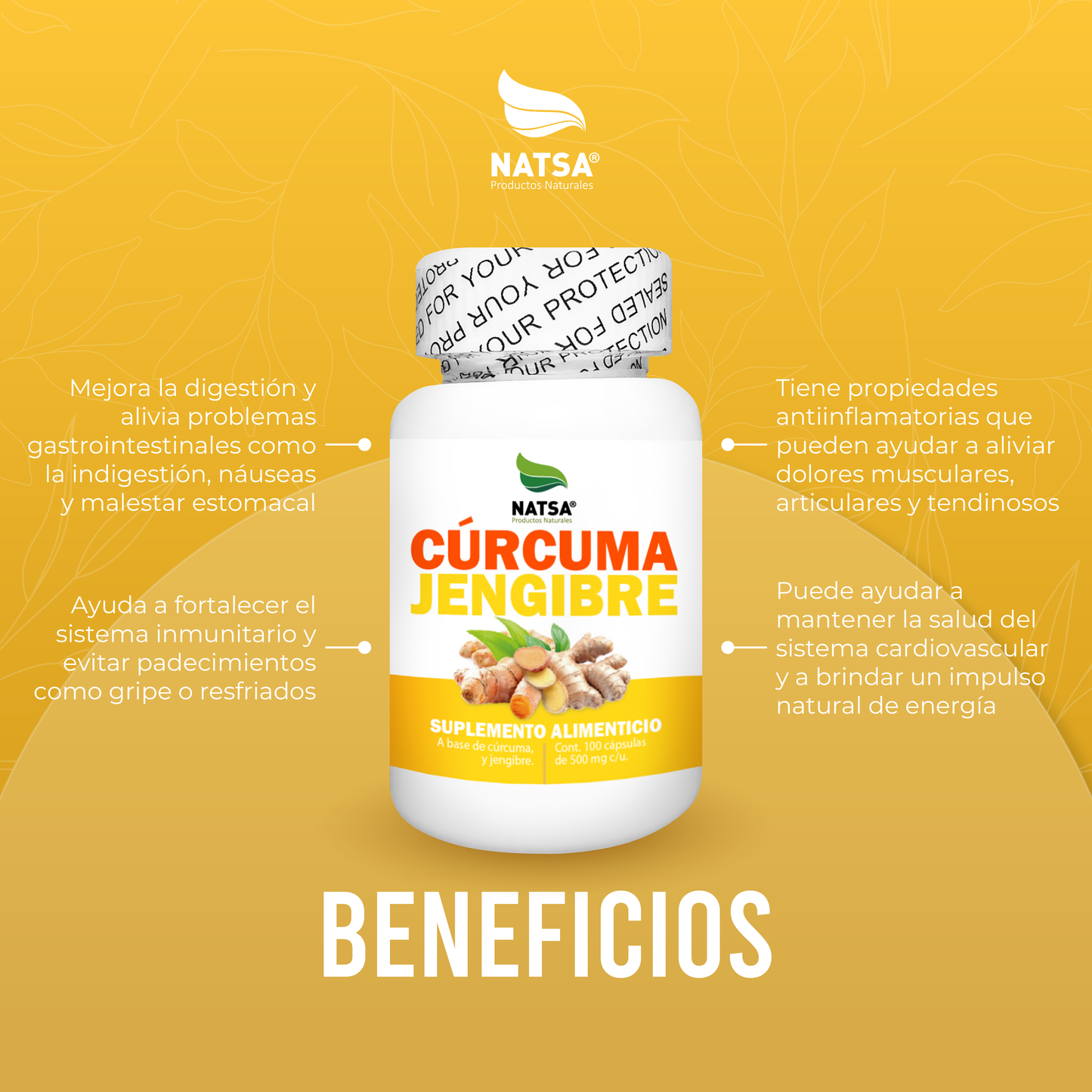 Cúrcuma y Jengibre 100 cápsulas