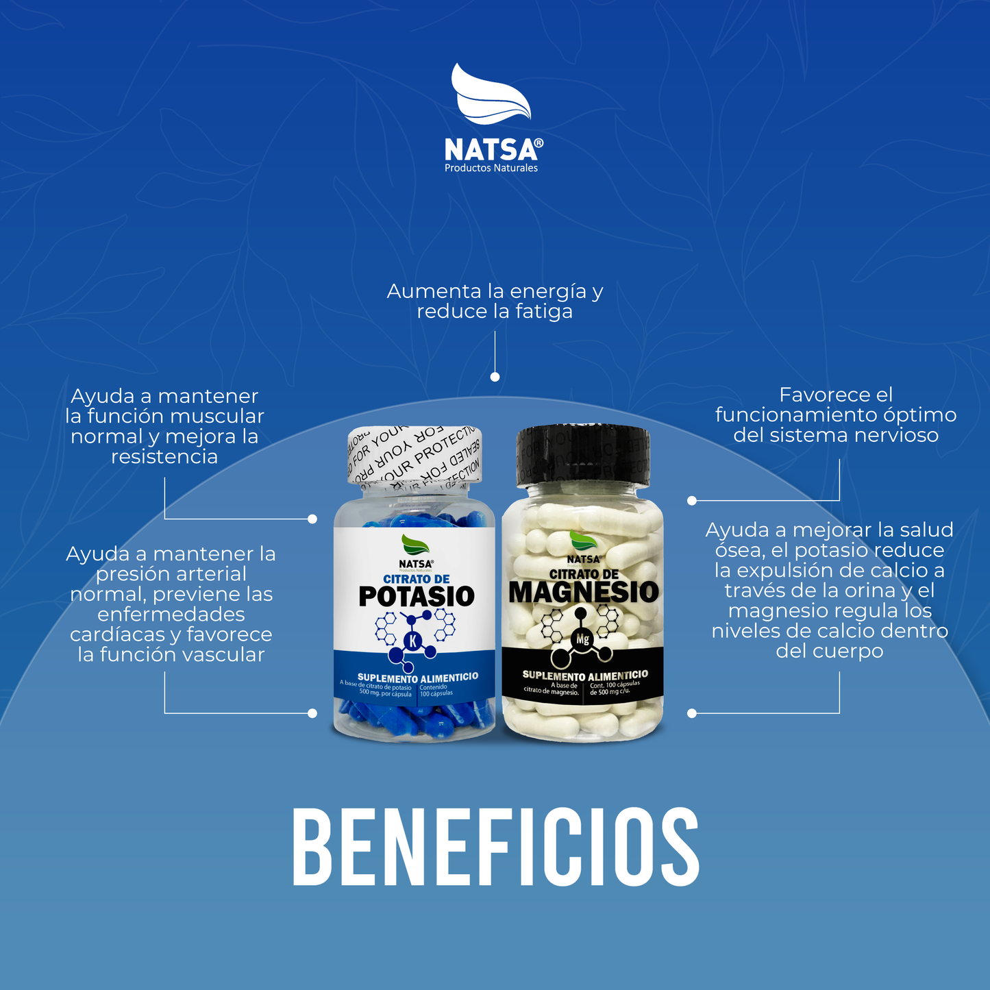 Pack Citratos - Magnesio y Potasio 100 Caps c/u