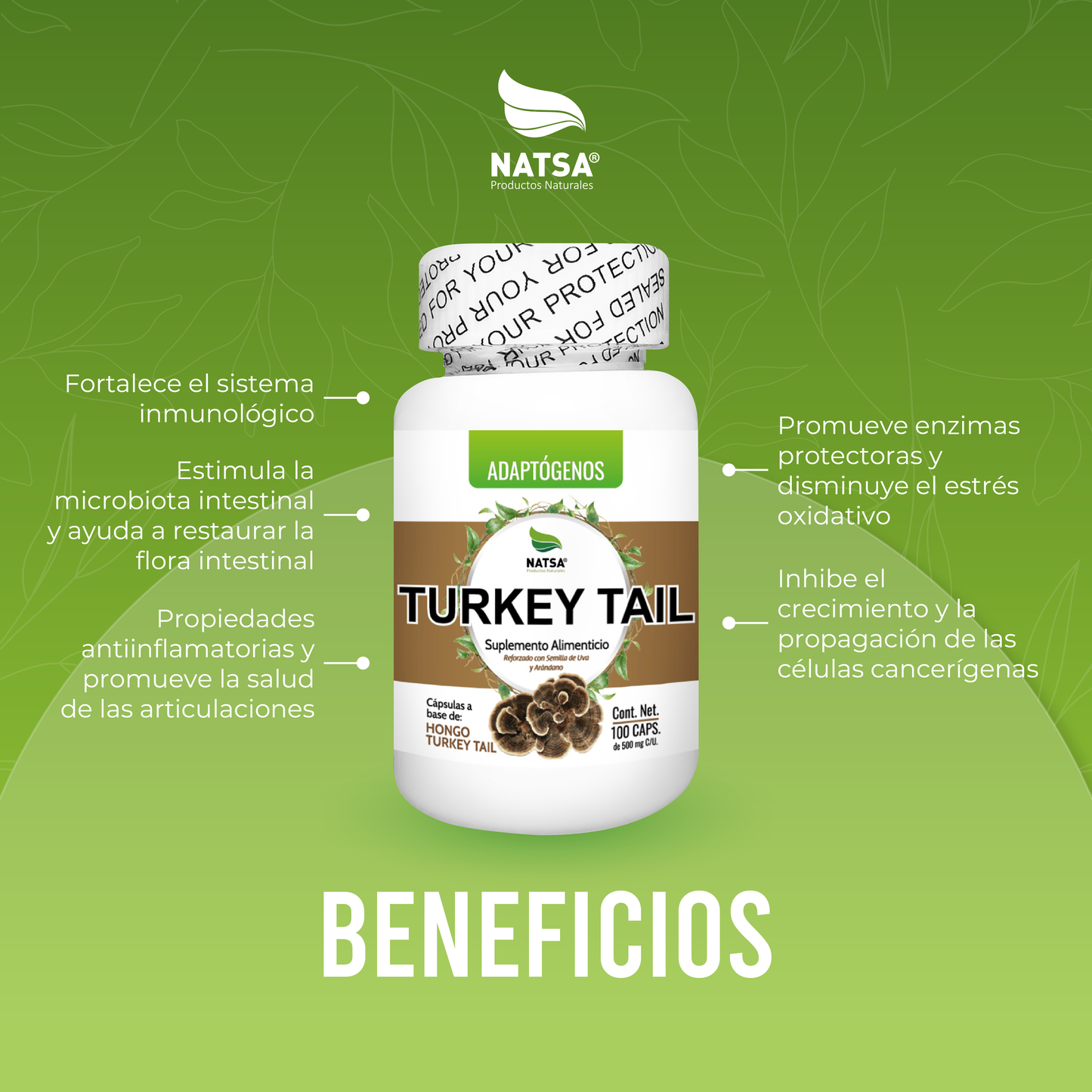 Turkey Tail Cola de Pavo 100 cápsulas