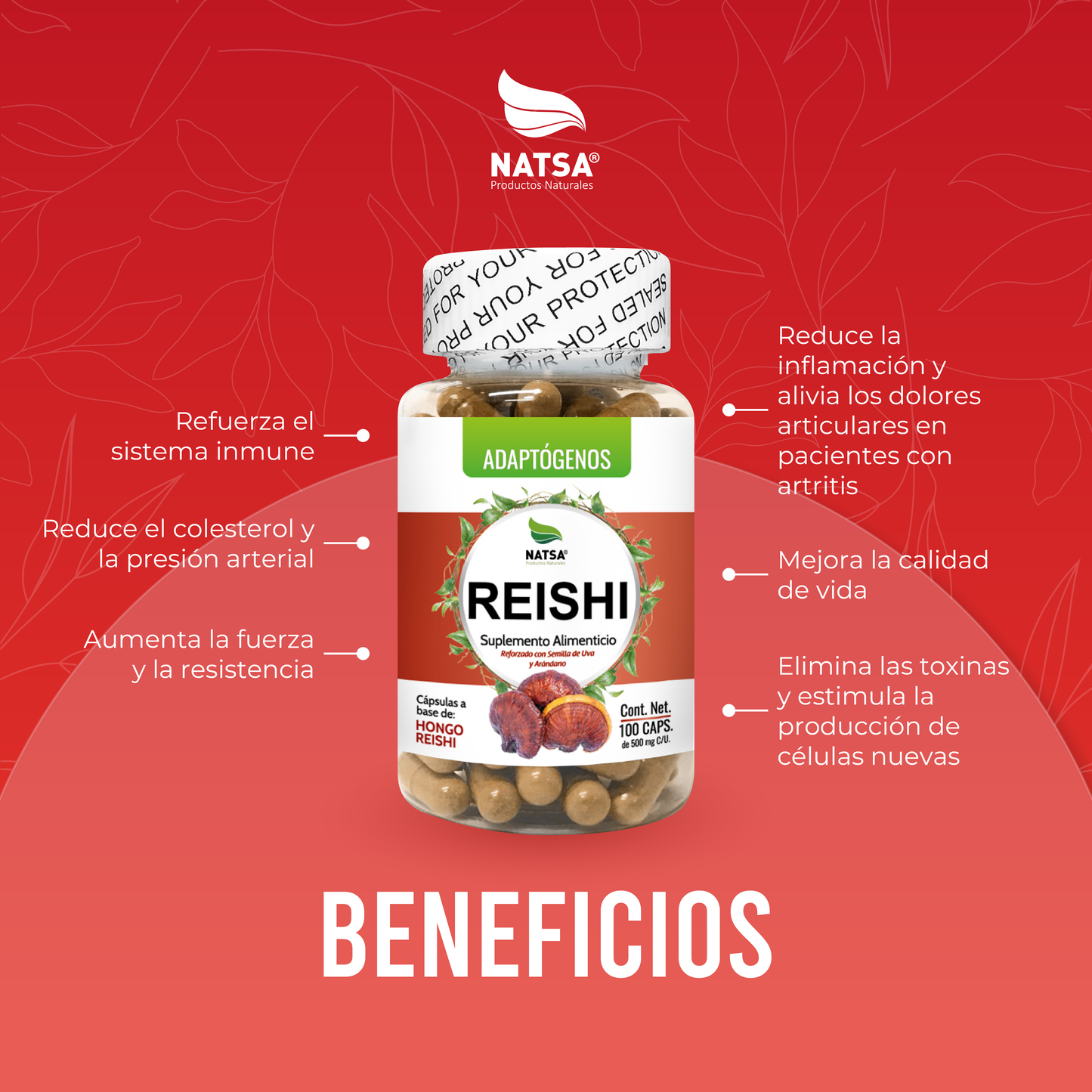 Reishi 100 cápsulas