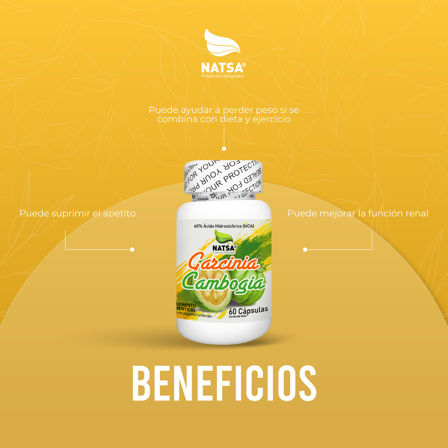 Garcinia Cambogia 60 cápsulas
