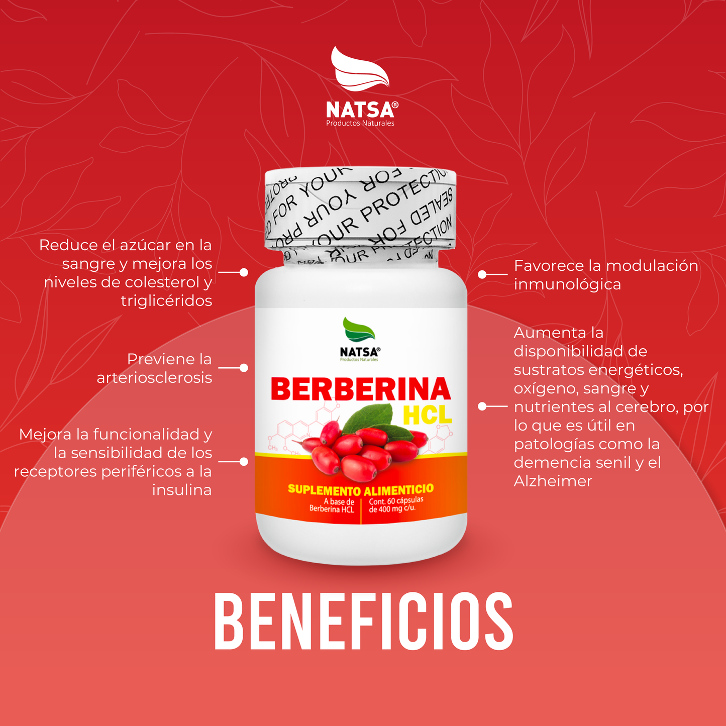 Berberina HCl 60 cápsulas