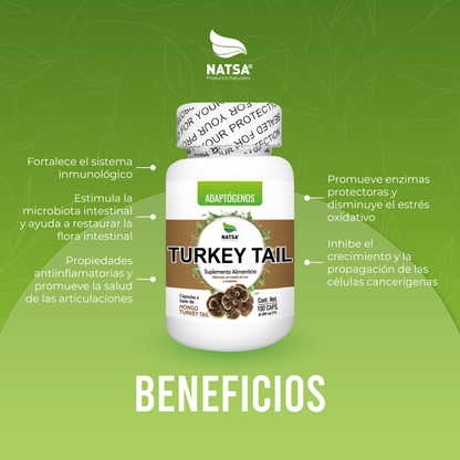Turkey Tail Cola de Pavo 100 cápsulas