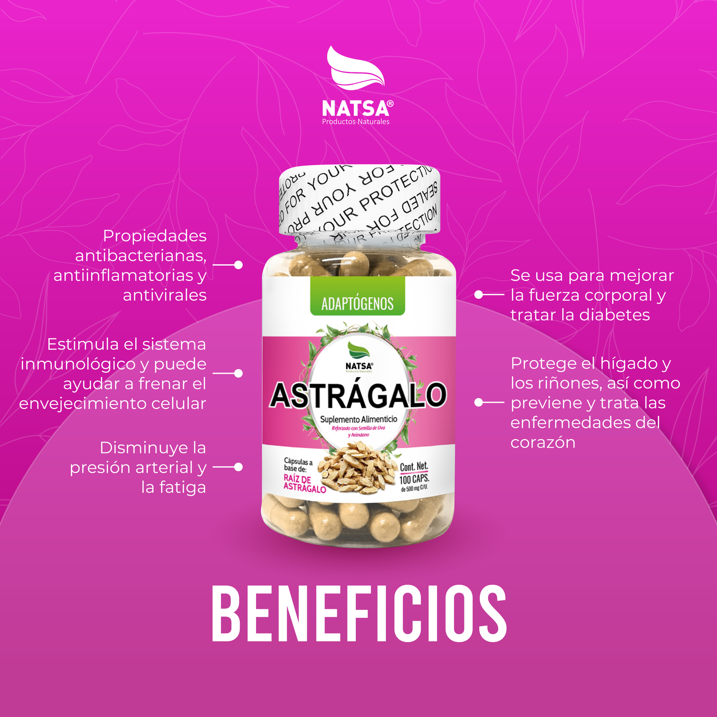 Astrágalo 100 cápsulas