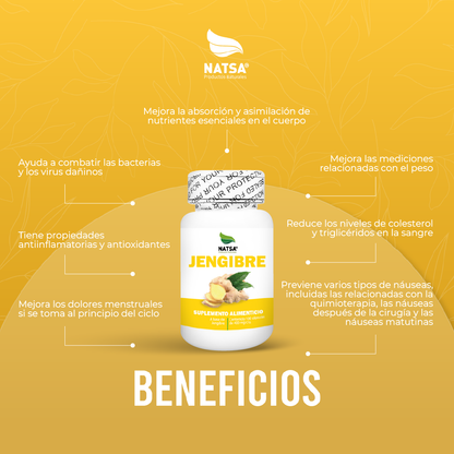 Jengibre 100 cápsulas