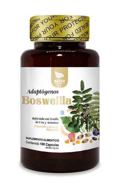 Boswellia 100 cápsulas